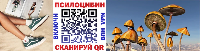Галлюциногенные грибы Psilocybine cubensis  Бугульма 