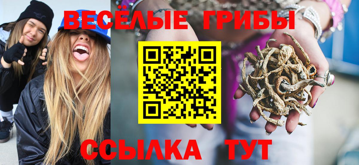 Псилоцибиновые грибы Psilocybe  Бугульма 
