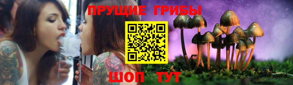 Бугульма  Галлюциногенные грибы мицелий  Псилоцибиновые грибы мицелий  Вход с VPN 